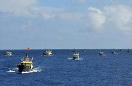 Với sự hỗ trợ của các tàu tiếp vận và ngư chính Trung Quốc đưa nhiều đoàn tàu cá hàng chục chiếc vào khu vực đảo Trường Sa của Việt Nam