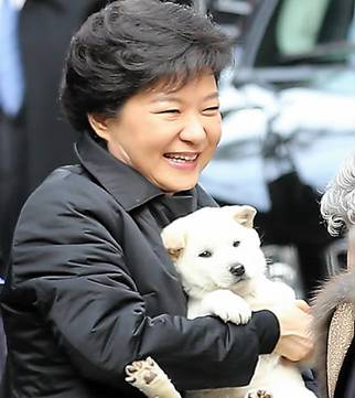 Bà Park được một người hàng xóm tặngchú chó trắng đáng yêu khi rời nhà riêng vào sáng nay.
